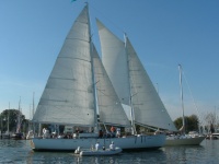 Woodwind II 71 pi..JPG